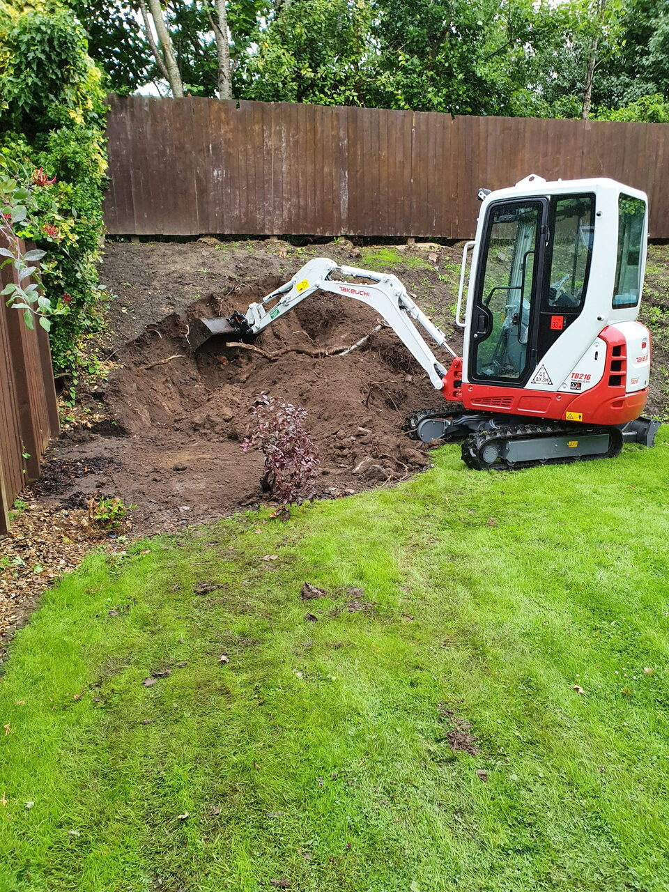 Overgrown bank clearance