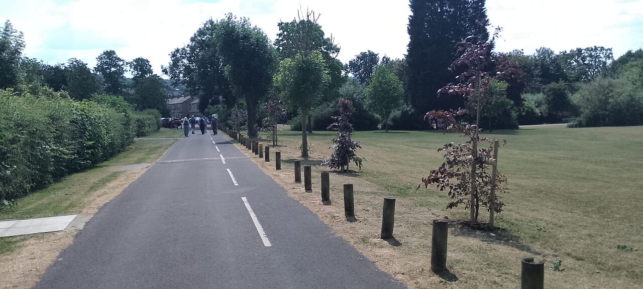 Tree planting, Alkincoats Park